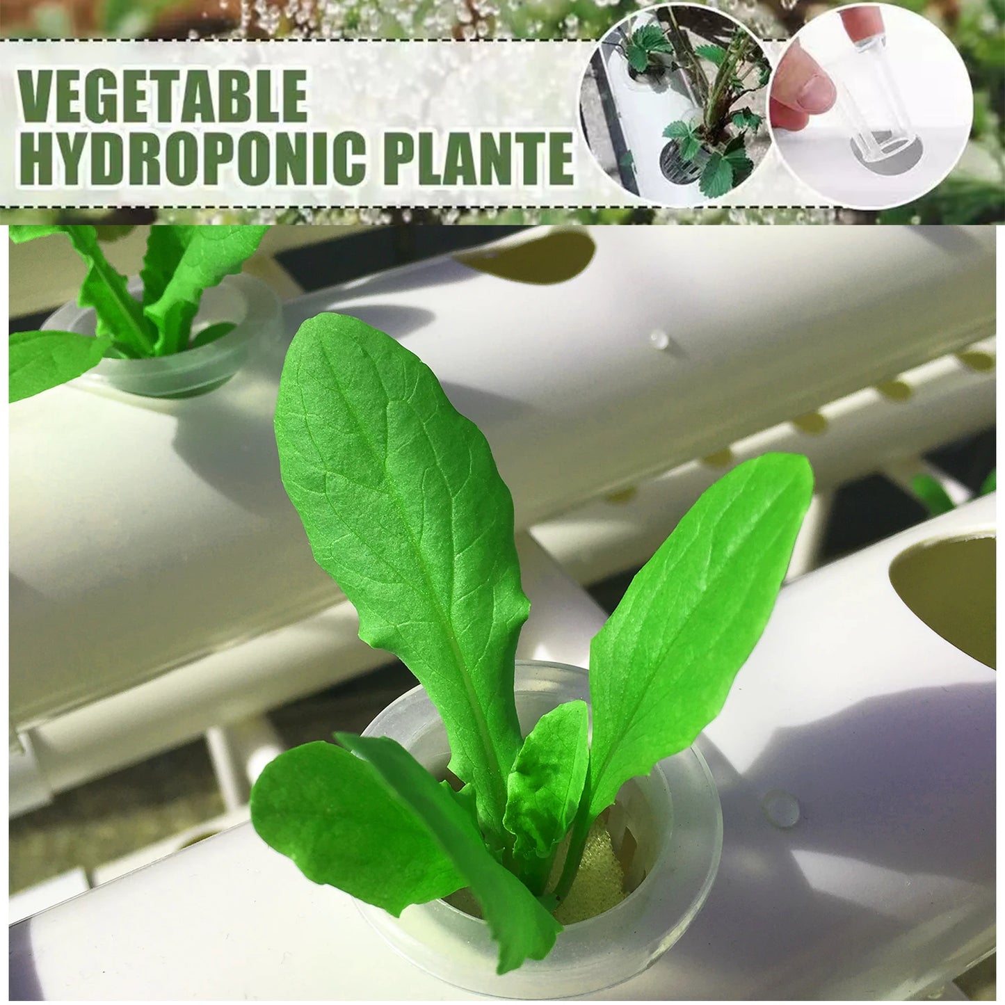 Système de Culture Hydroponique, Kit BHTNYOO à 3 Couches/108 Sites, Jardin Hydroponique pour Légumes et Herbes, Équipement de Culture en Tuyaux PVC
